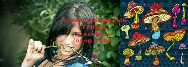 первитин Володарск